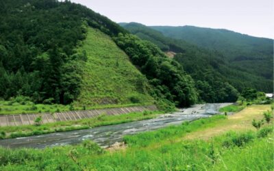 日本威士忌新勢力震驚全球