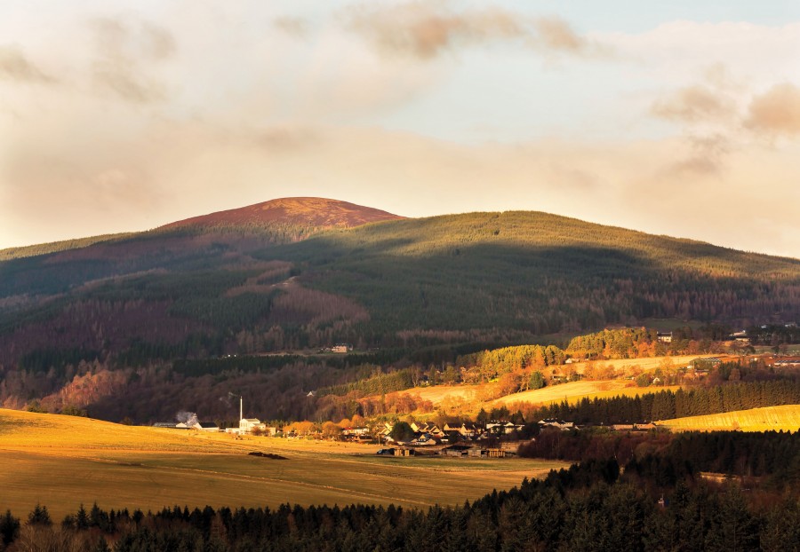 Craigellachie – 最佳單一麥芽威士忌蒸餾廠